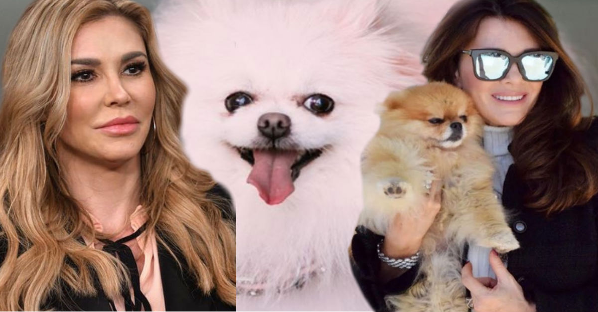 Brandi Glanville Celebuzz