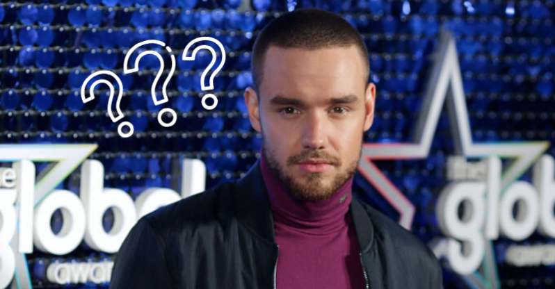 Is Liam Payne Being Paid to Date a Girl?